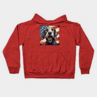 Howl for the USA Kids Hoodie